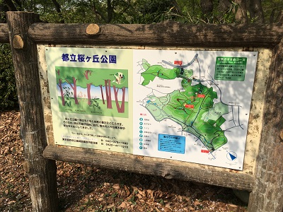 都立桜ヶ丘公園
